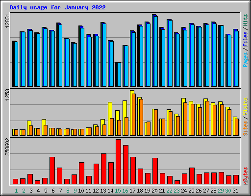 Daily usage for January 2022