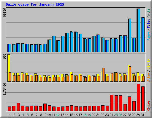 Daily usage for January 2025