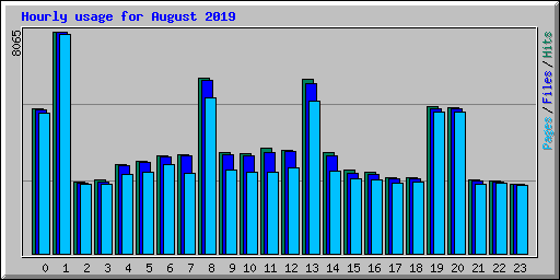 Hourly usage for August 2019