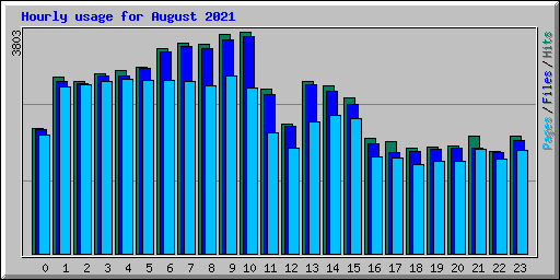 Hourly usage for August 2021