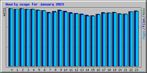 Hourly usage for January 2023