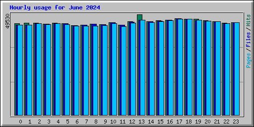 Hourly usage for June 2024