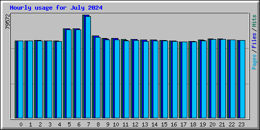 Hourly usage for July 2024