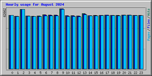 Hourly usage for August 2024