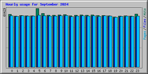 Hourly usage for September 2024