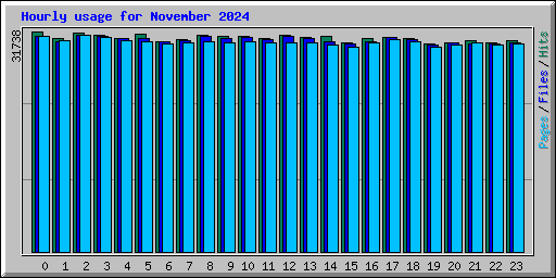 Hourly usage for November 2024