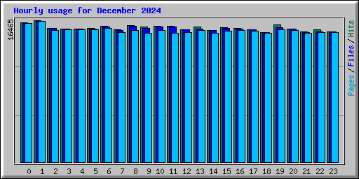 Hourly usage for December 2024