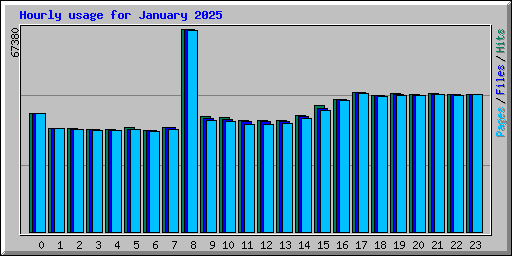 Hourly usage for January 2025