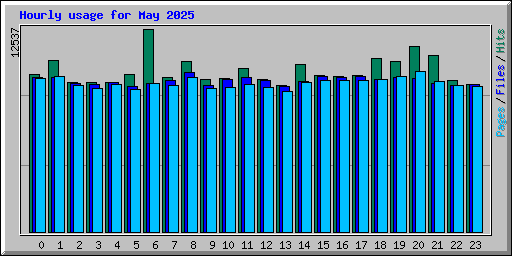 Hourly usage for May 2025