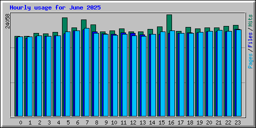 Hourly usage for June 2025