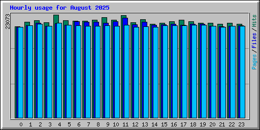 Hourly usage for August 2025