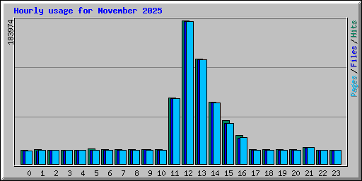 Hourly usage for November 2025