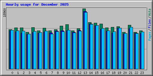 Hourly usage for December 2025