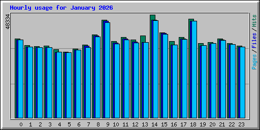 Hourly usage for January 2026
